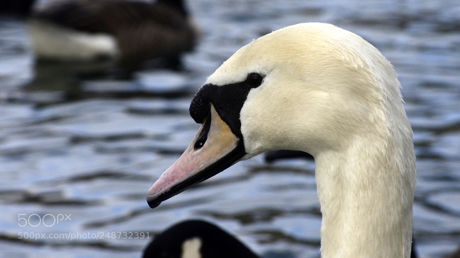 Nikon D5100 sample photo. Cool photography