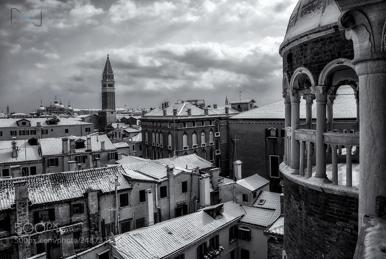 Nikon D610 sample photo. Scala contarini di bovolo photography
