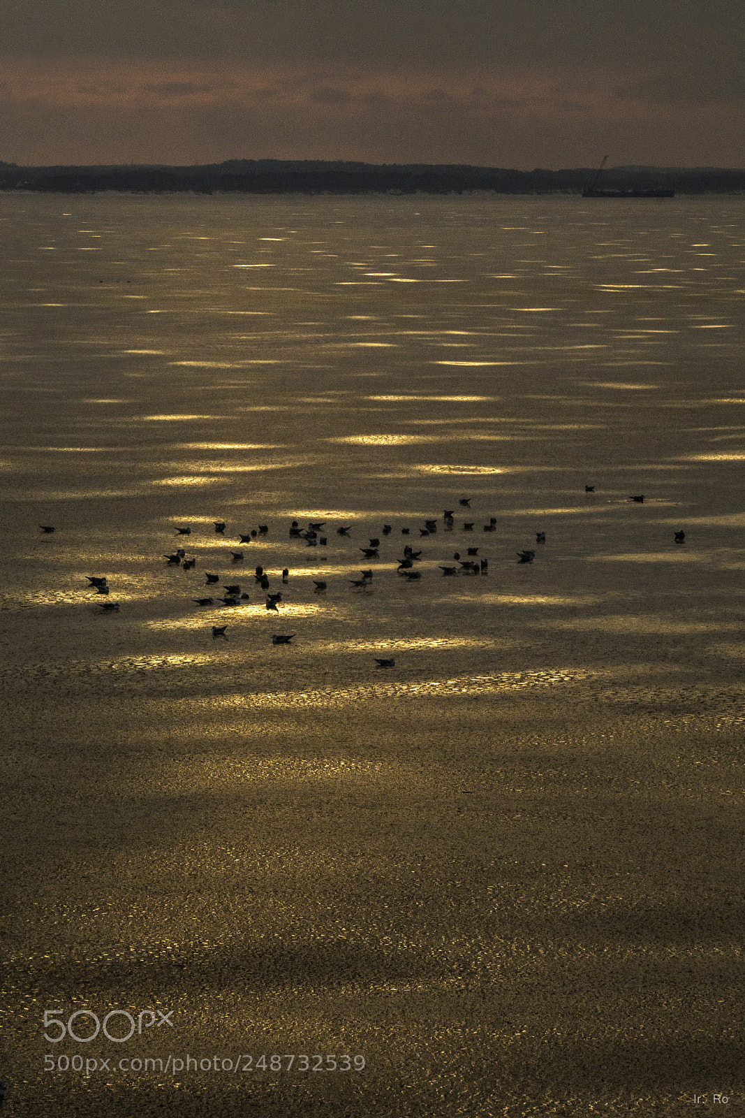 Sony a6000 sample photo. Evening glare photography
