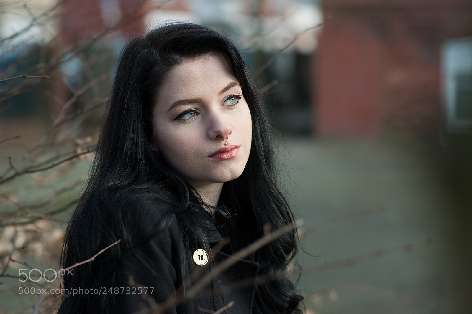 Sony Alpha DSLR-A900 sample photo. Before spring photography