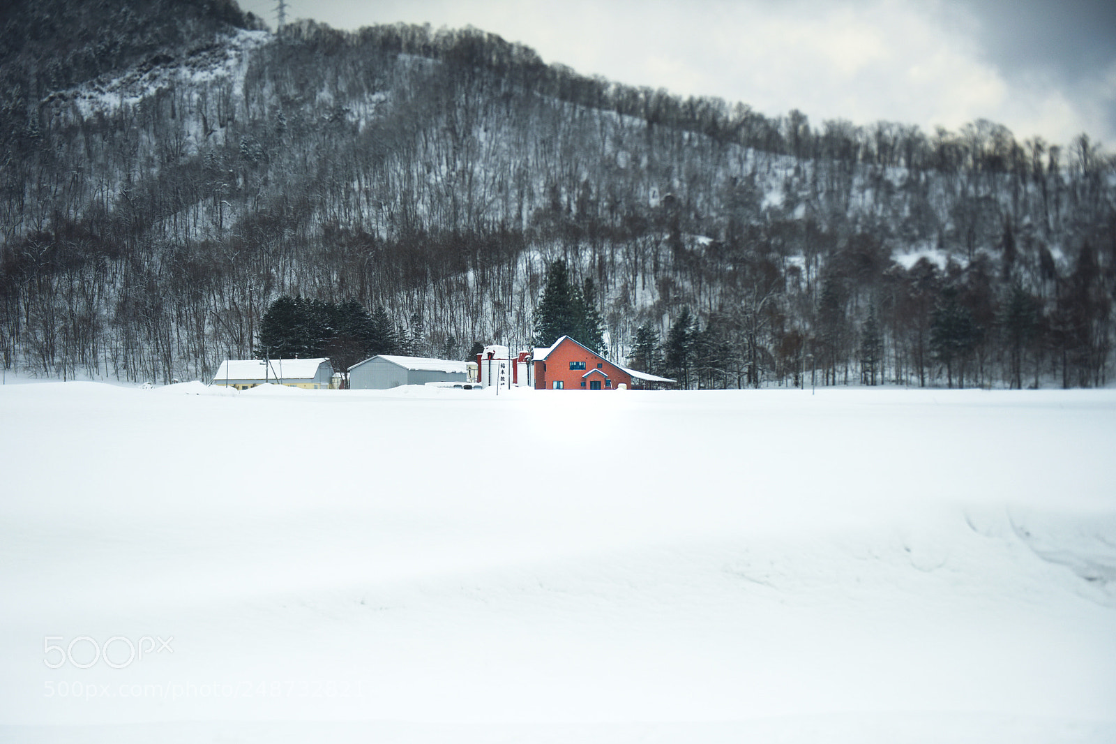 Nikon D810 sample photo. Red house in the photography