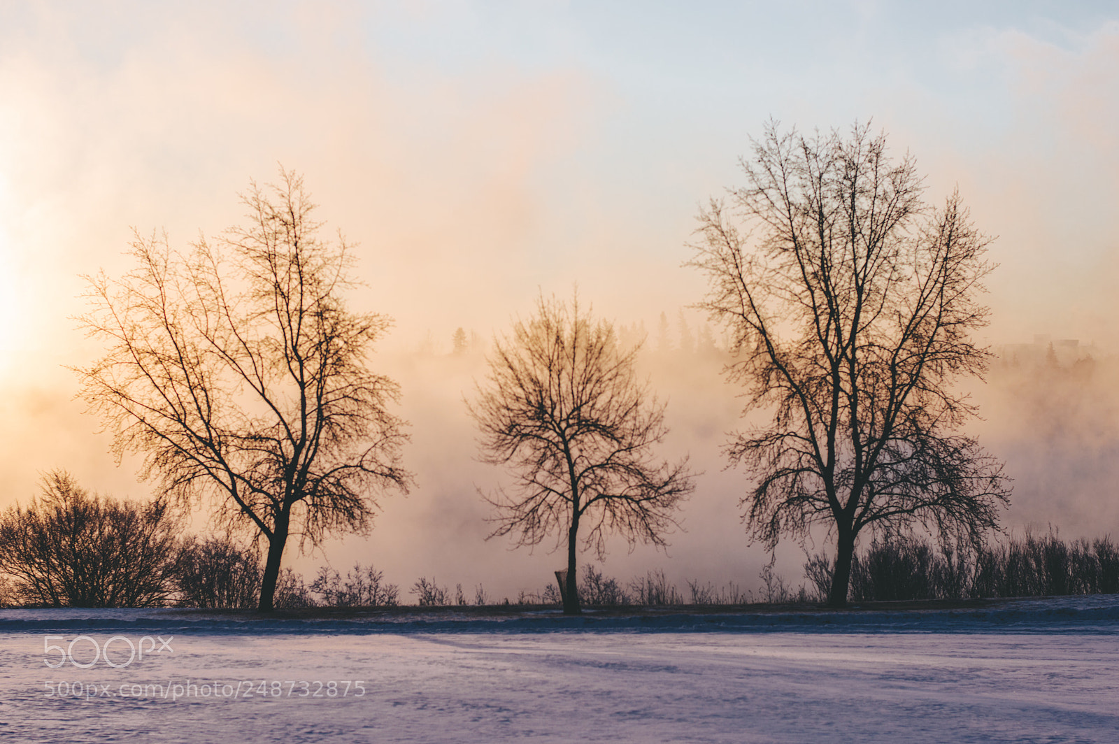 Nikon D3200 sample photo. Saskatchewan winter photography