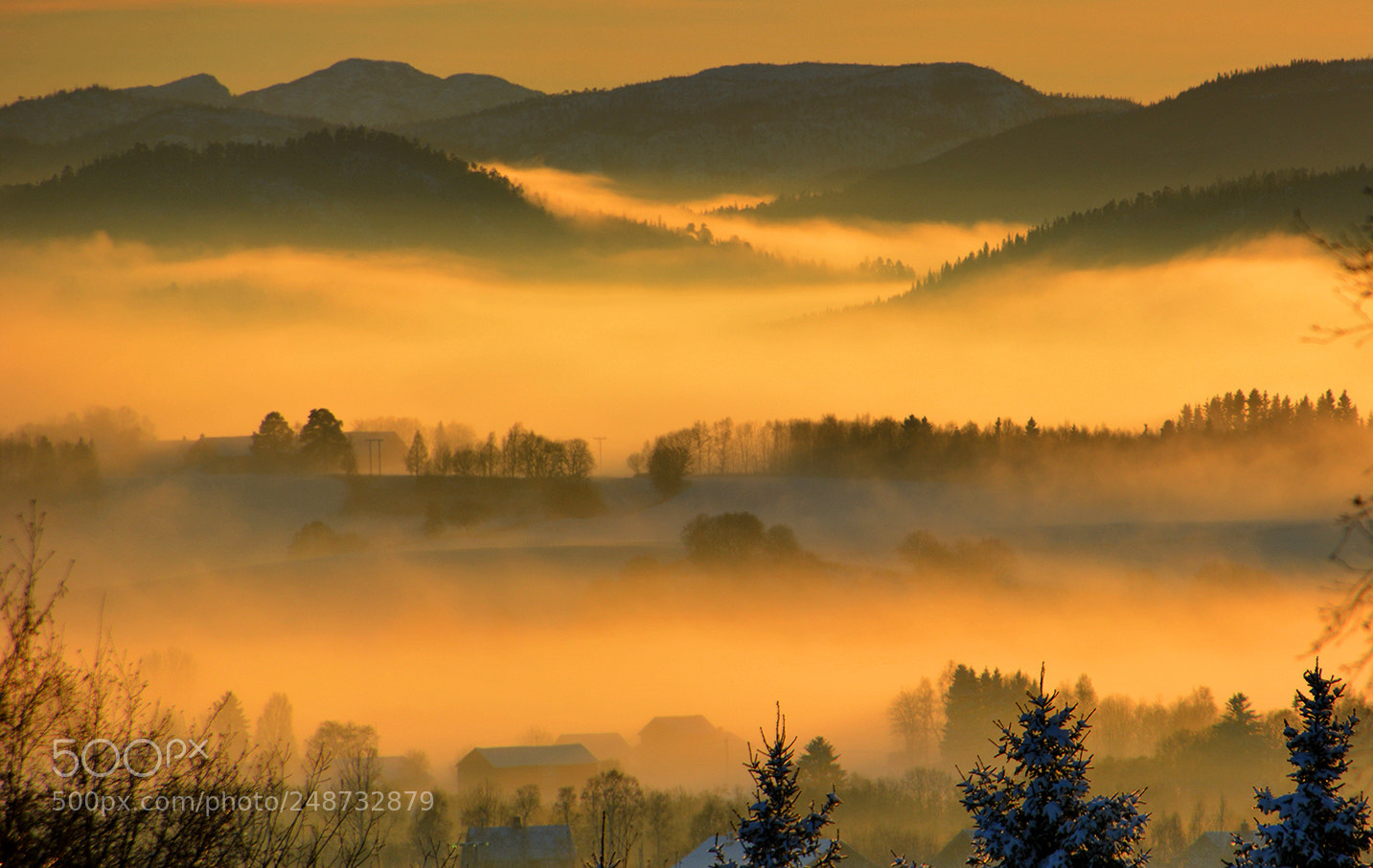 Nikon D5200 sample photo. Golden winter afternoon photography