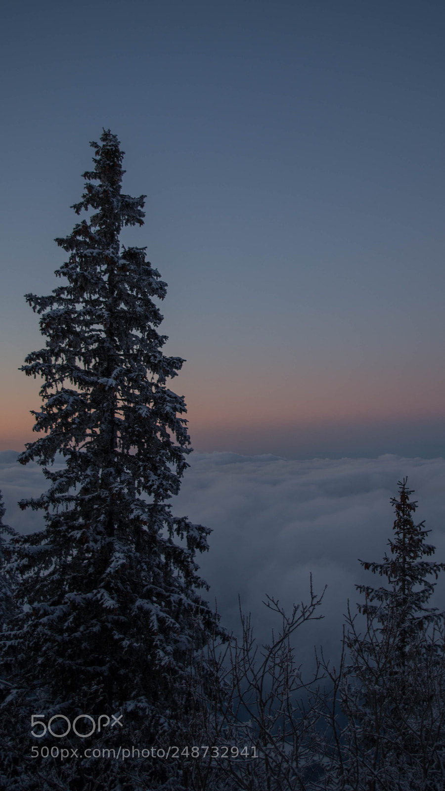 Pentax K-30 sample photo. Klewenalp photography