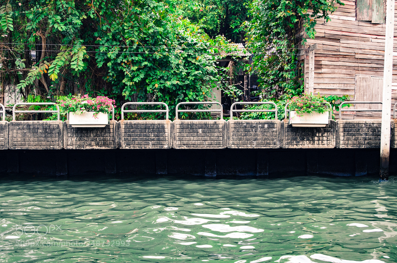 Nikon D5100 sample photo. Street photography