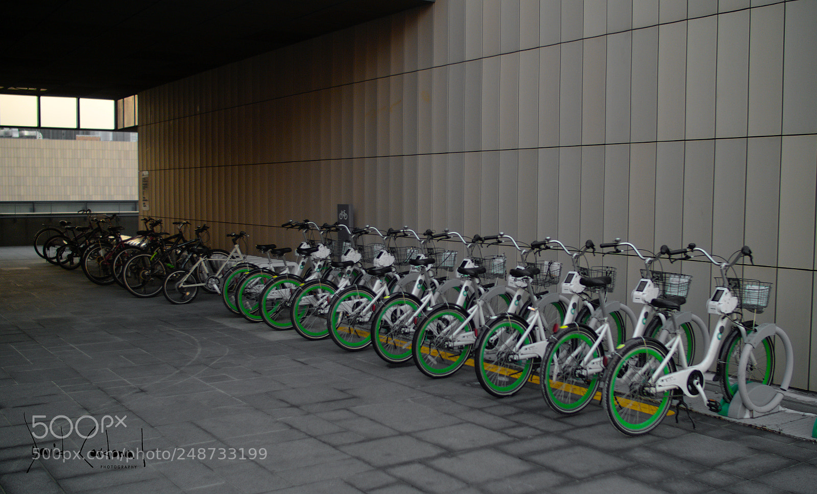 Olympus PEN-F sample photo. Family of bicycles resting photography