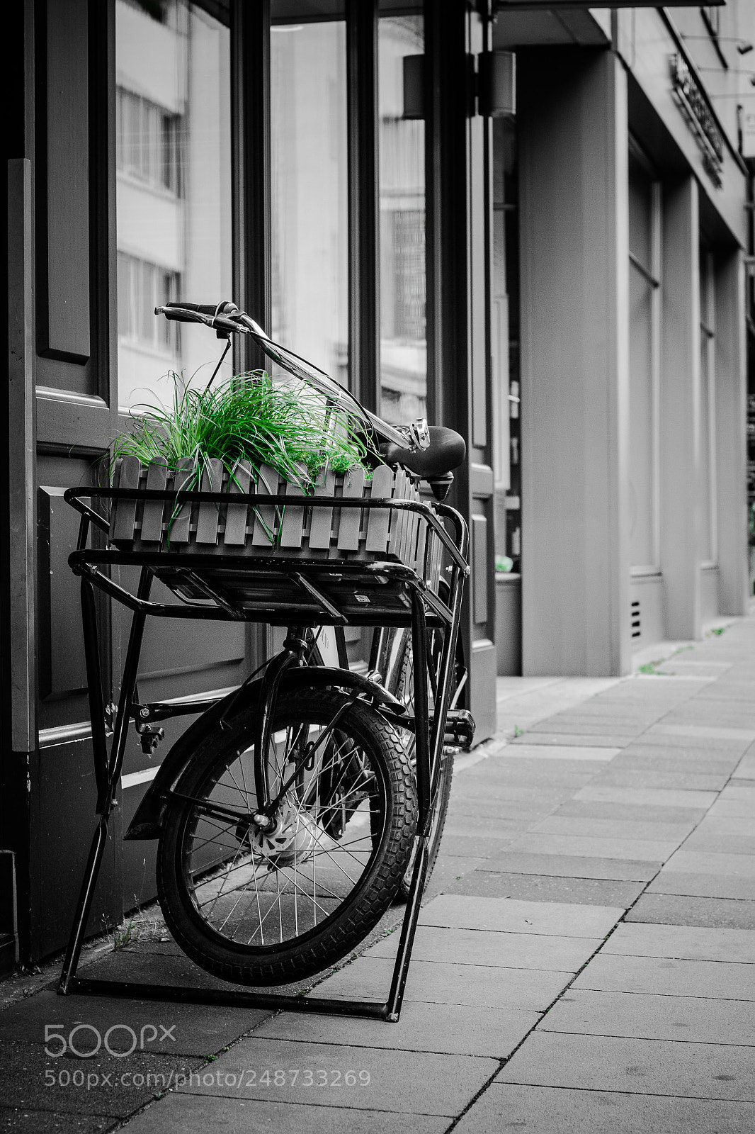 Canon EOS 600D (Rebel EOS T3i / EOS Kiss X5) sample photo. Verde photography