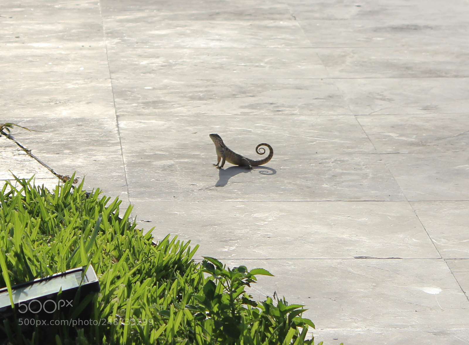 Canon EOS 600D (Rebel EOS T3i / EOS Kiss X5) sample photo. Img photography