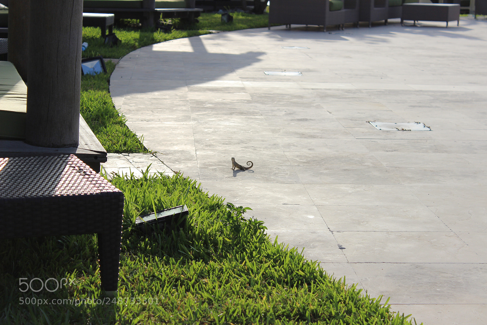 Canon EOS 600D (Rebel EOS T3i / EOS Kiss X5) sample photo. Img photography