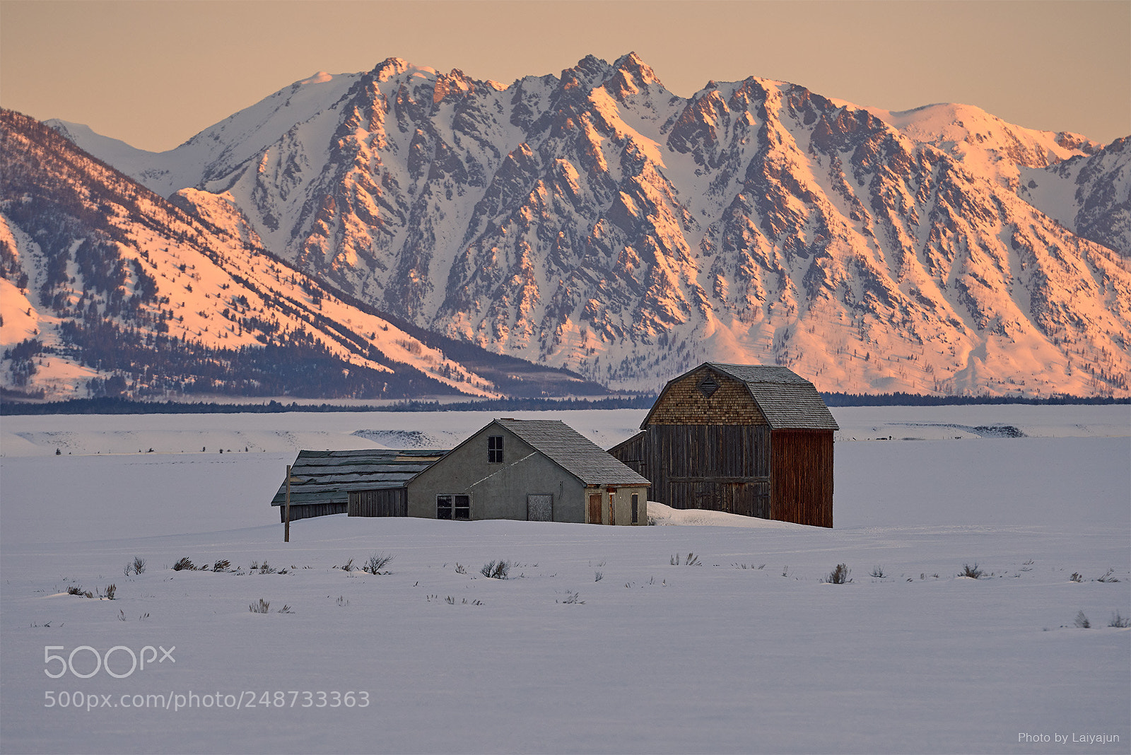 Nikon D800E sample photo. Winter pasture photography