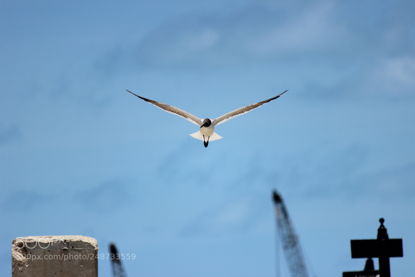Canon EOS 600D (Rebel EOS T3i / EOS Kiss X5) sample photo. Img photography