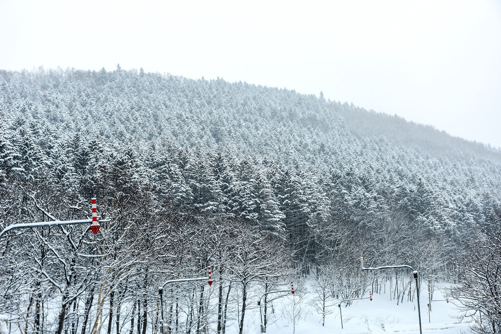 Nikon D810 sample photo. Driving in the snow photography