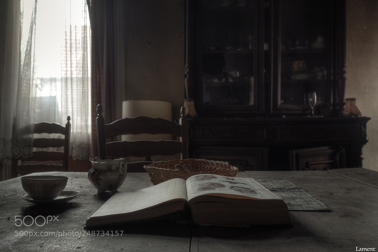 Olympus PEN E-PL7 sample photo. Anatomy photography