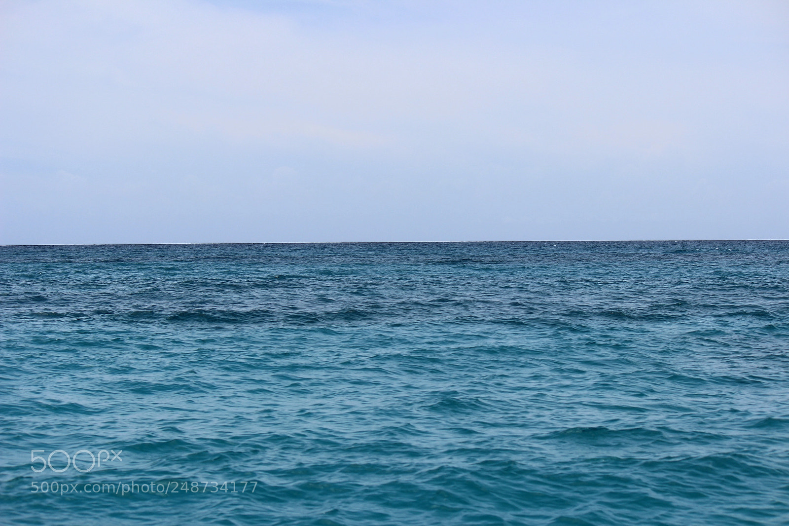 Canon EOS 600D (Rebel EOS T3i / EOS Kiss X5) sample photo. Img photography