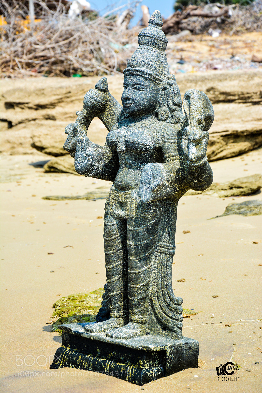 Nikon D5200 sample photo. Untitled photography
