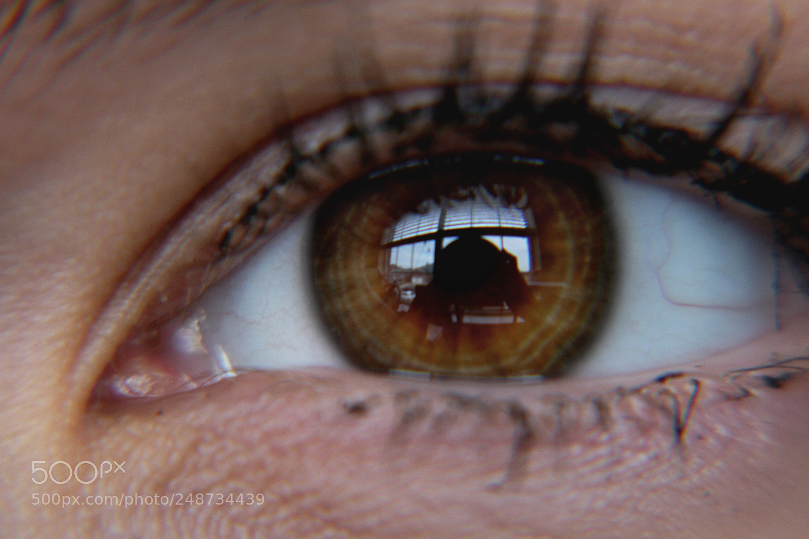 Canon EOS 7D sample photo. Upclose photography