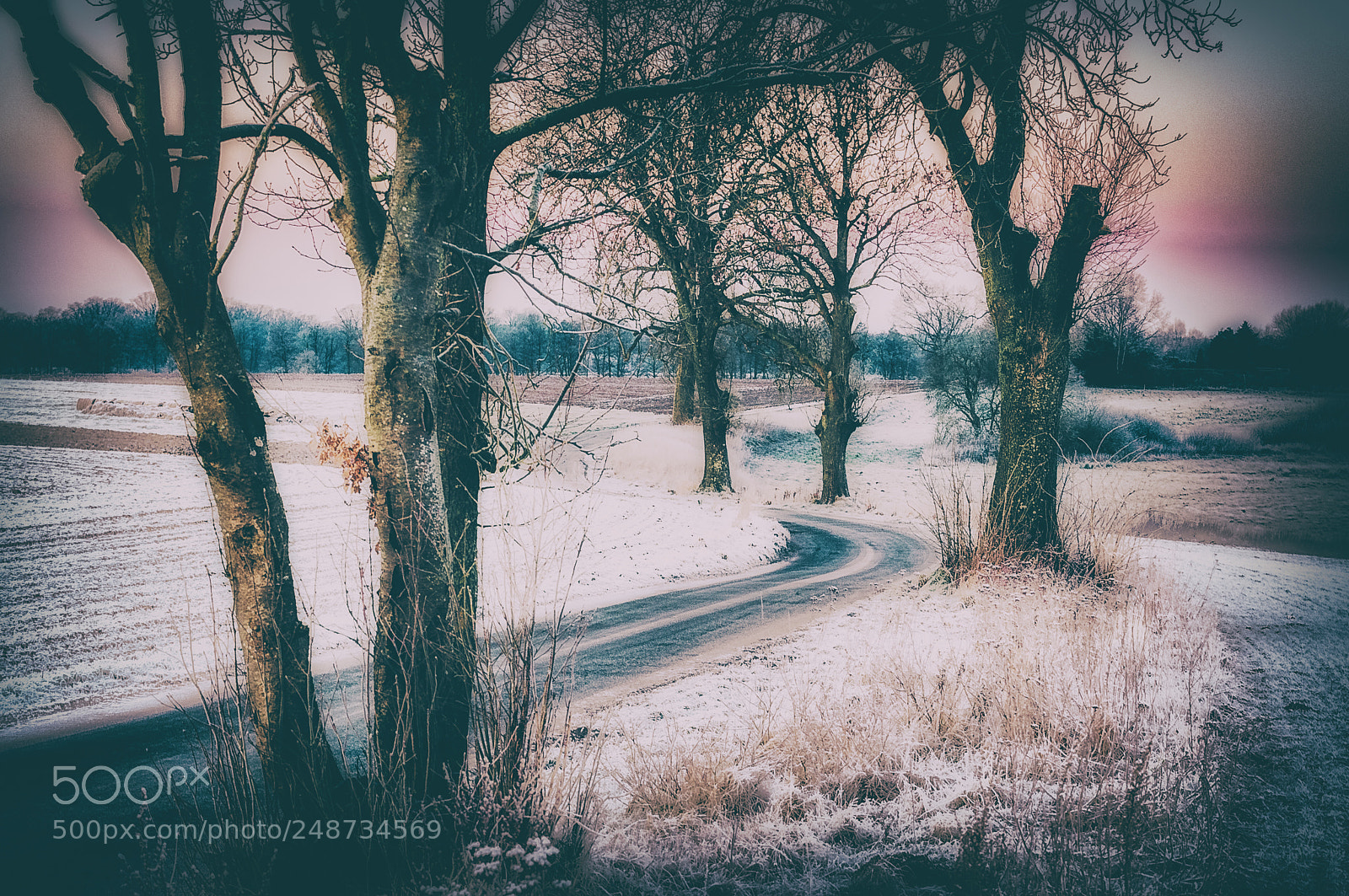 Nikon D300S sample photo. Into the winter morning photography
