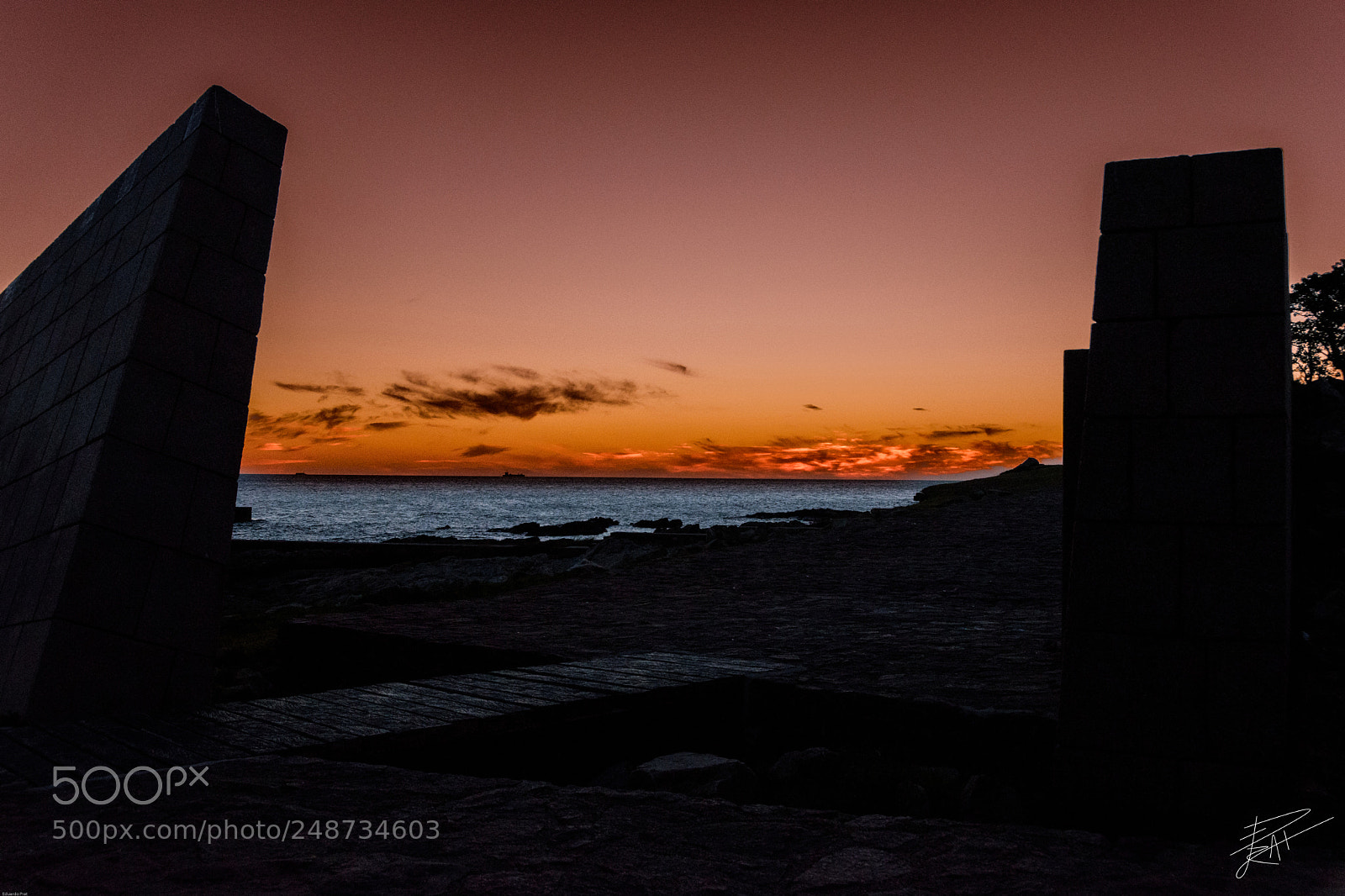 Nikon D5600 sample photo. #sunset #3 photography