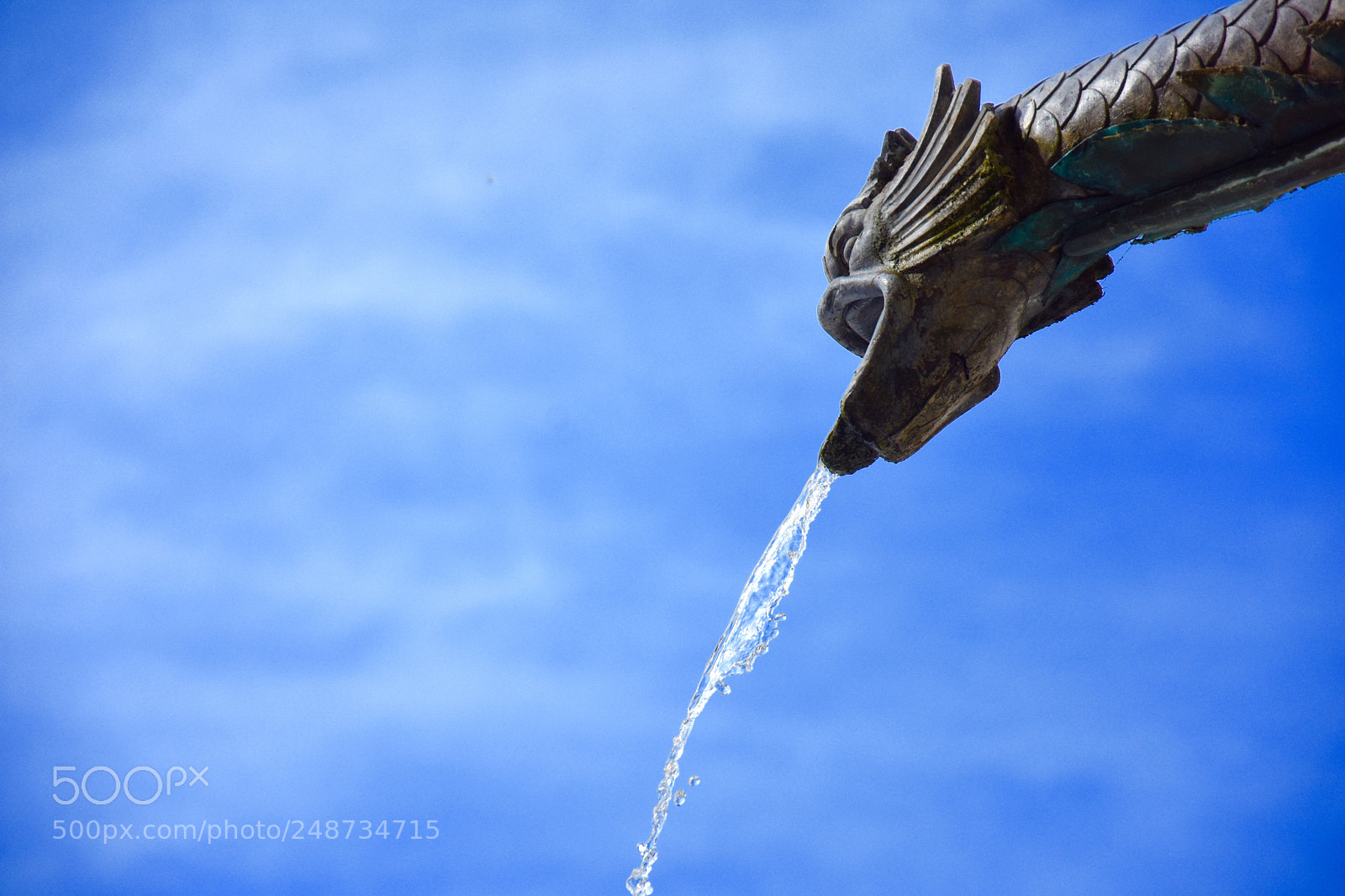 Nikon D7200 sample photo. Thing v - gargoyle photography