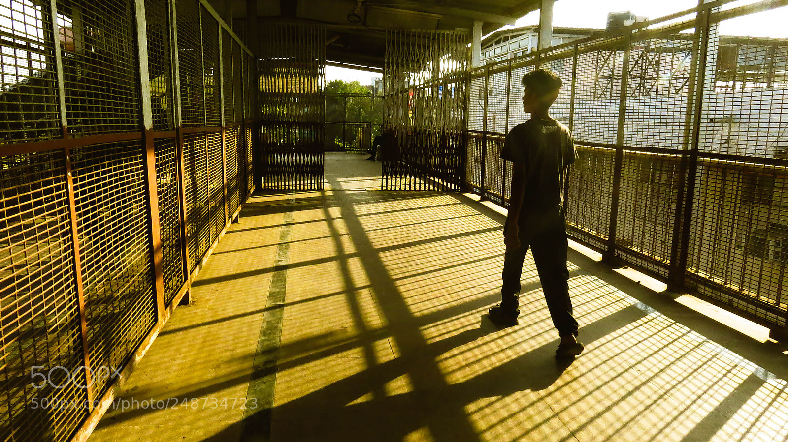 Canon PowerShot SX50 HS sample photo. Golden hour photography