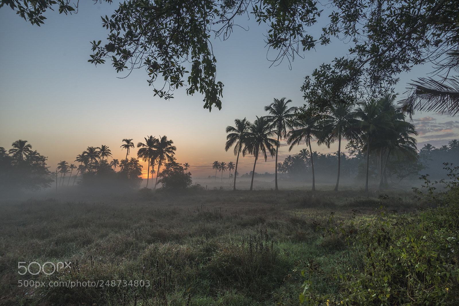 Nikon D800E sample photo. Looking towards colva photography