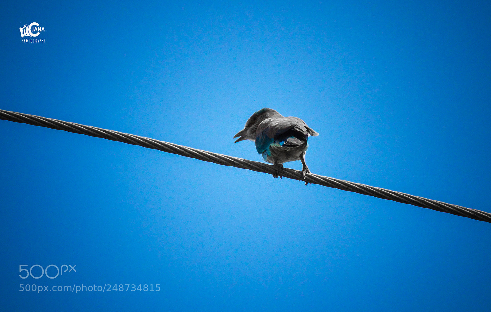 Nikon D5200 sample photo. Untitled photography