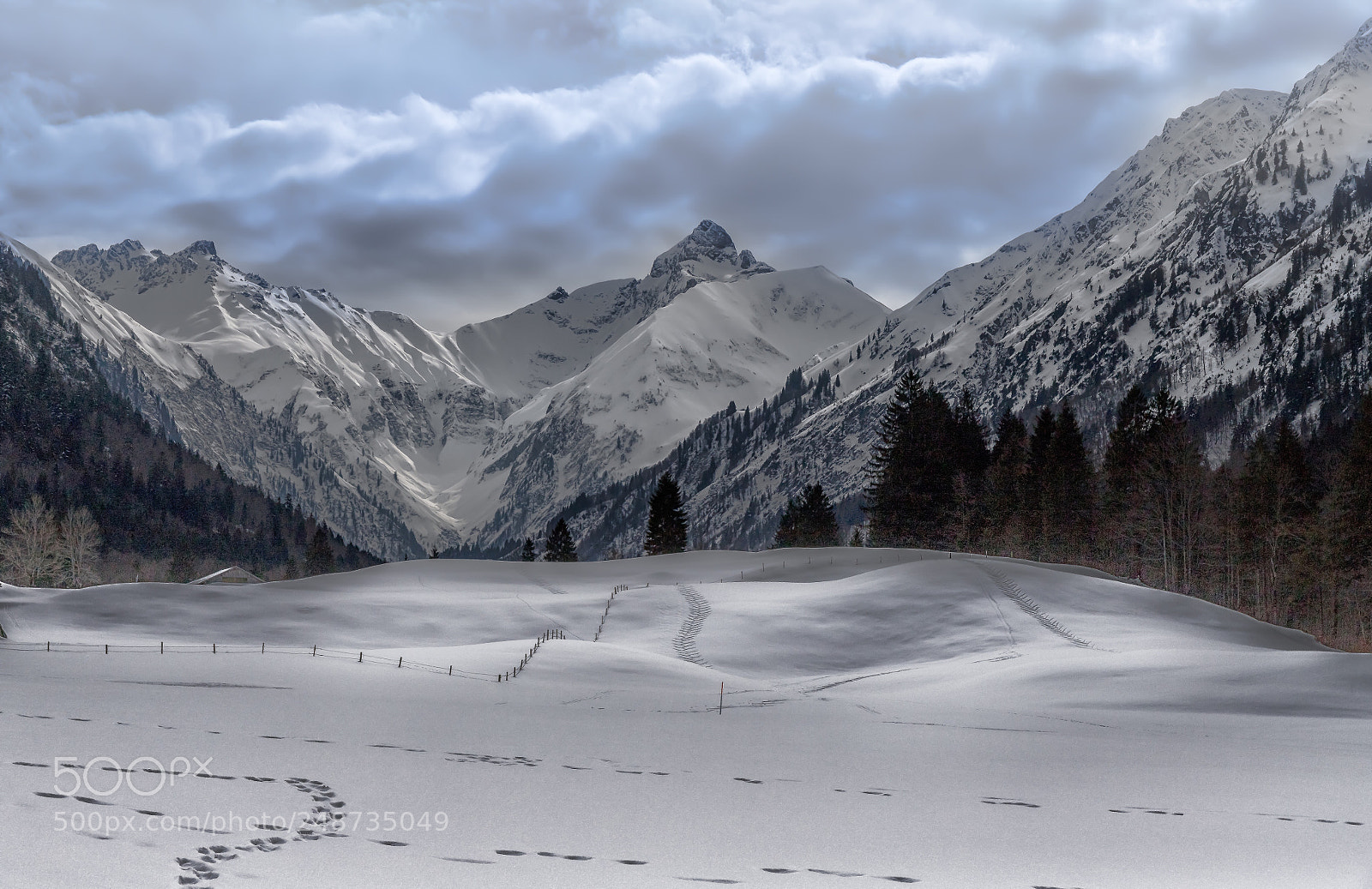 Canon EOS 6D Mark II sample photo. Snow photography