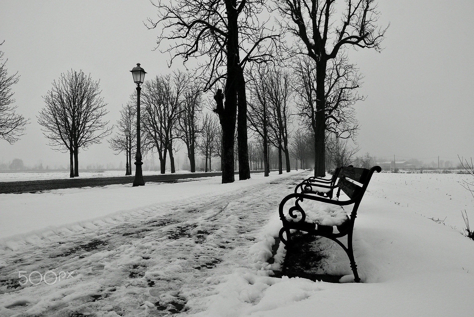 Nikon D5500 sample photo. Avenue in winter photography