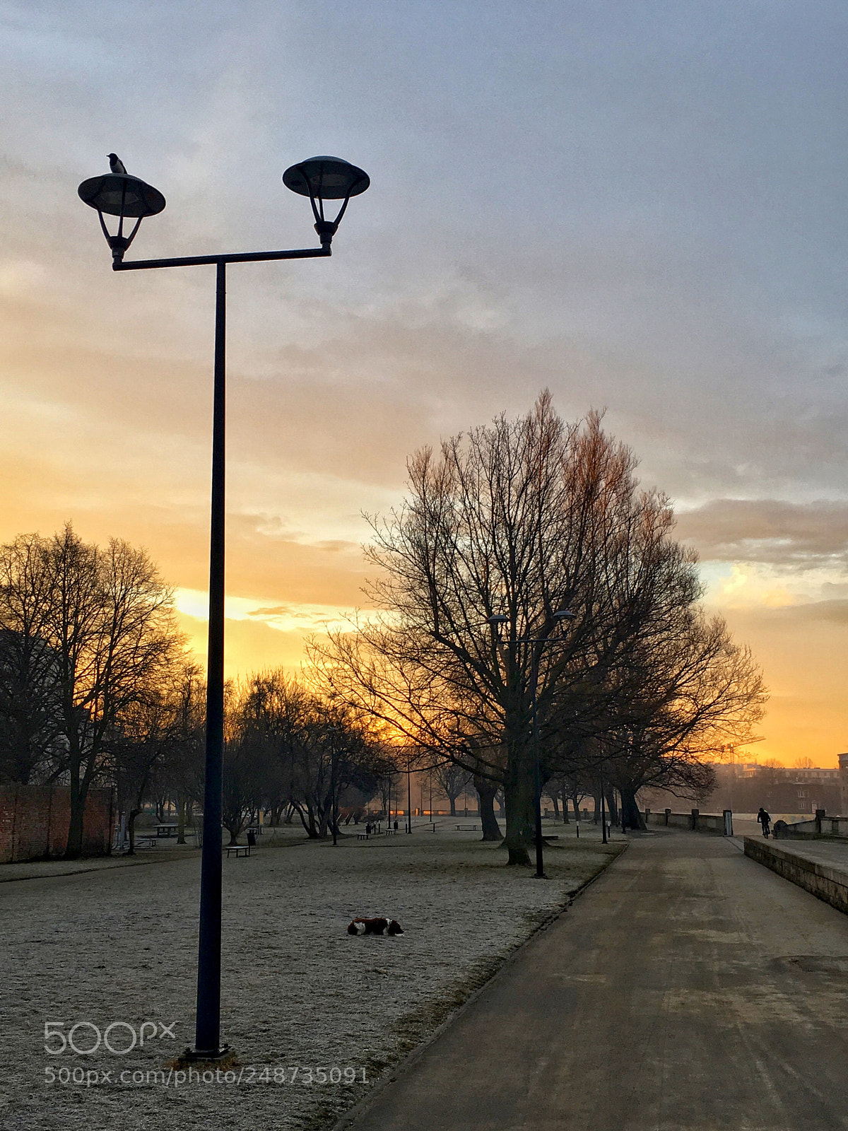Apple iPhone 6s Plus sample photo. Friday sunrise photography