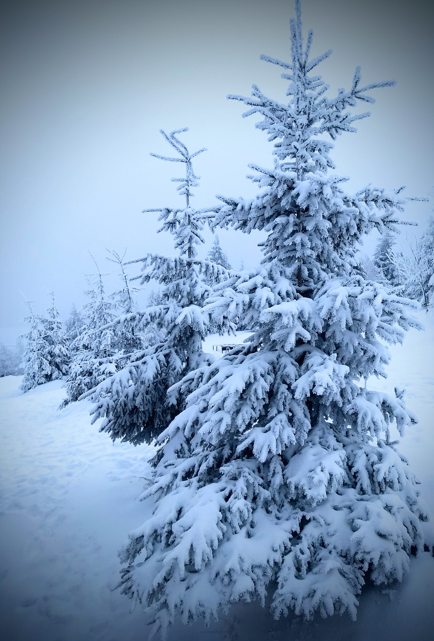 Motorola Moto G (5S) sample photo. Winter photography