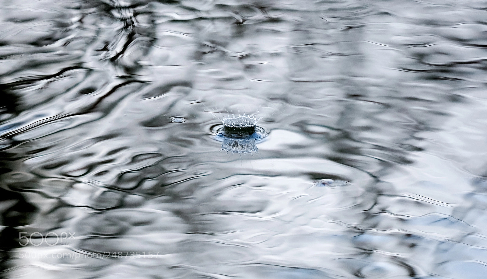 Olympus OM-D E-M1 Mark II sample photo. Spring in lithuania photography