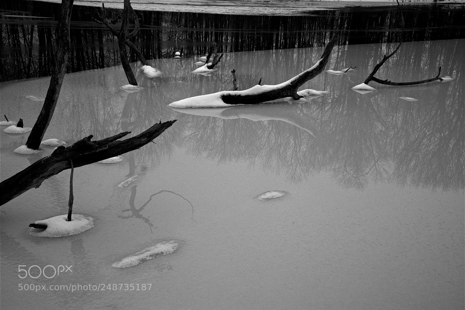 Nikon D600 sample photo. Reflection in ice photography