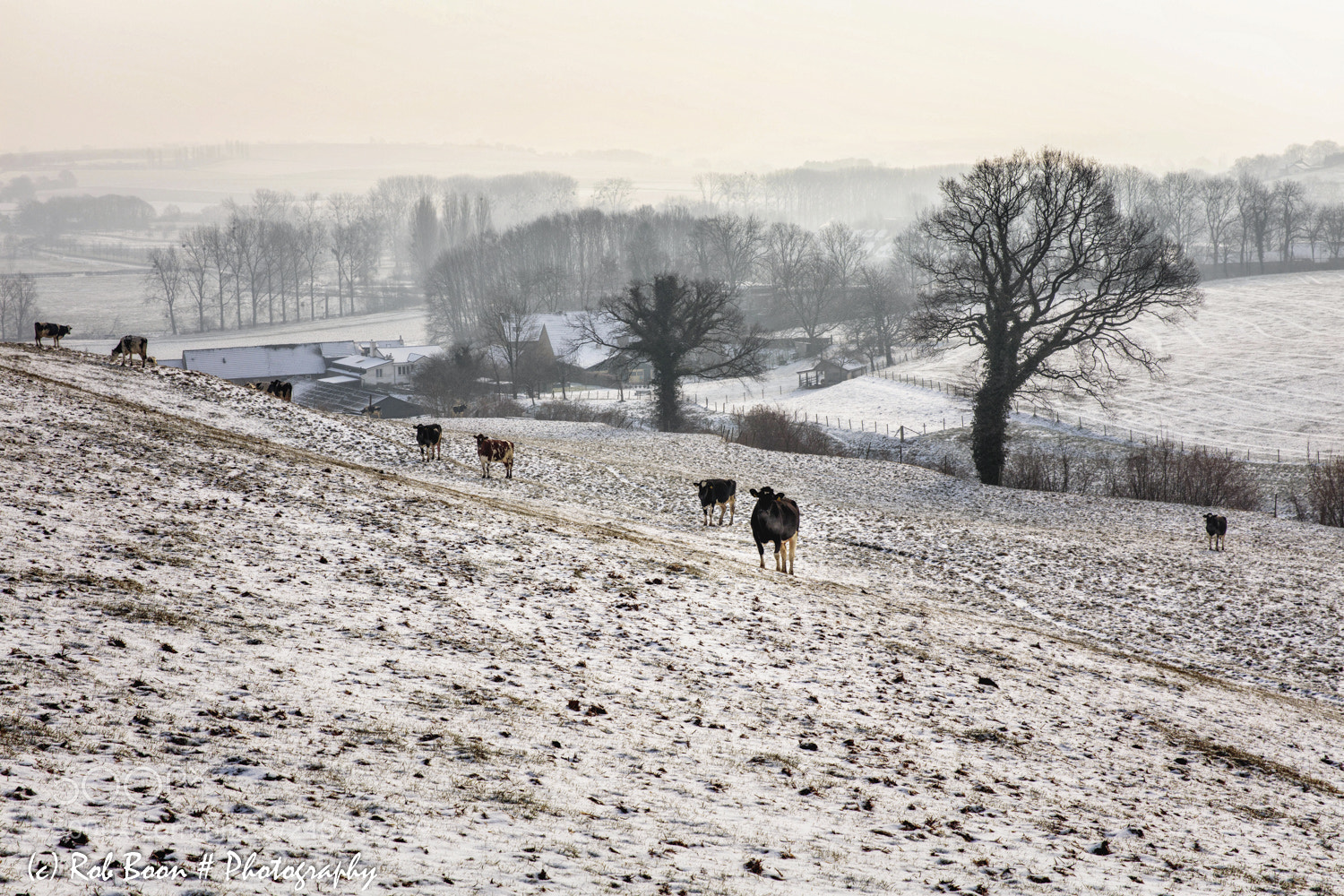 Canon EOS 5DS sample photo. Last traces of winter photography