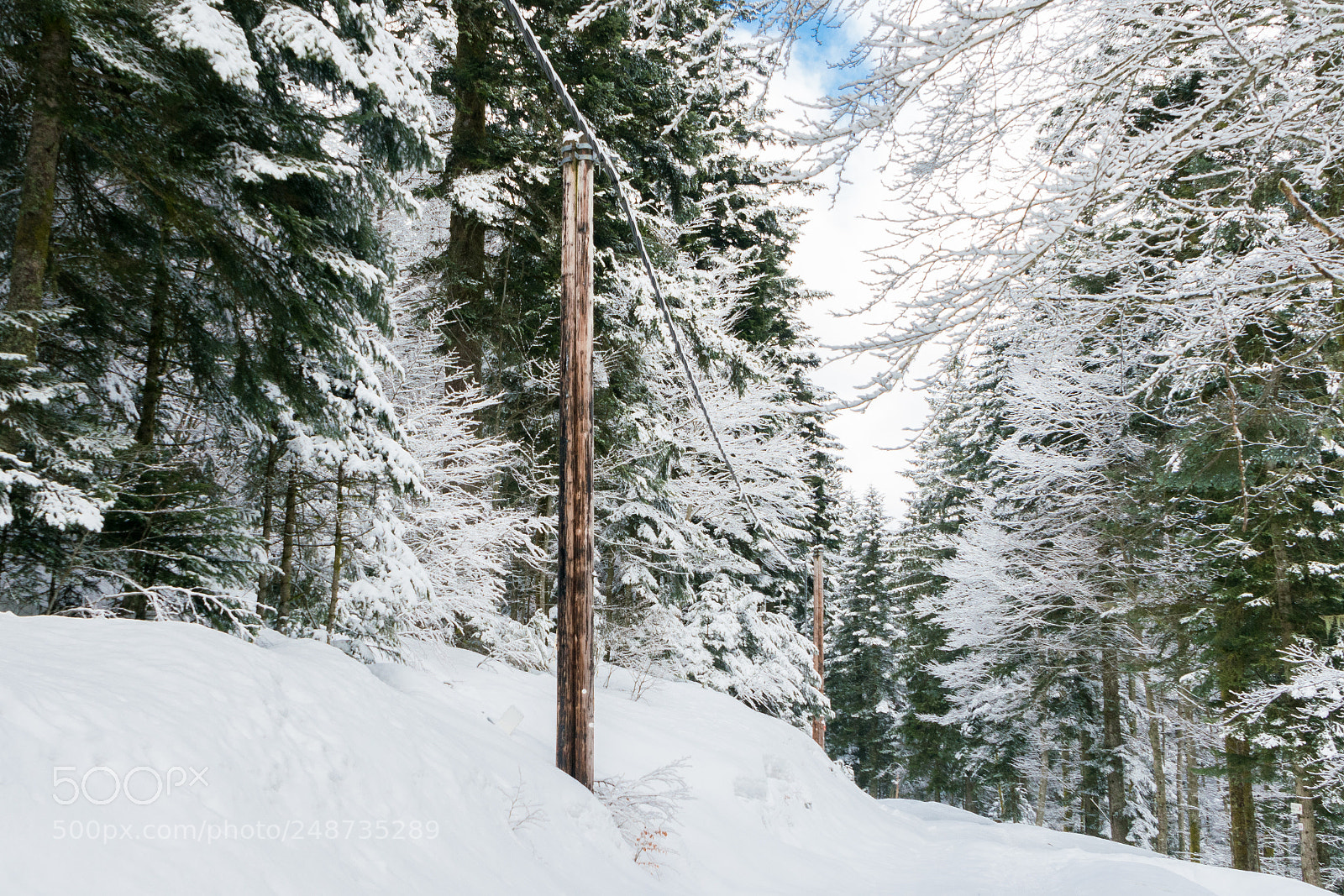 Sony a7R II sample photo. Winter walk photography