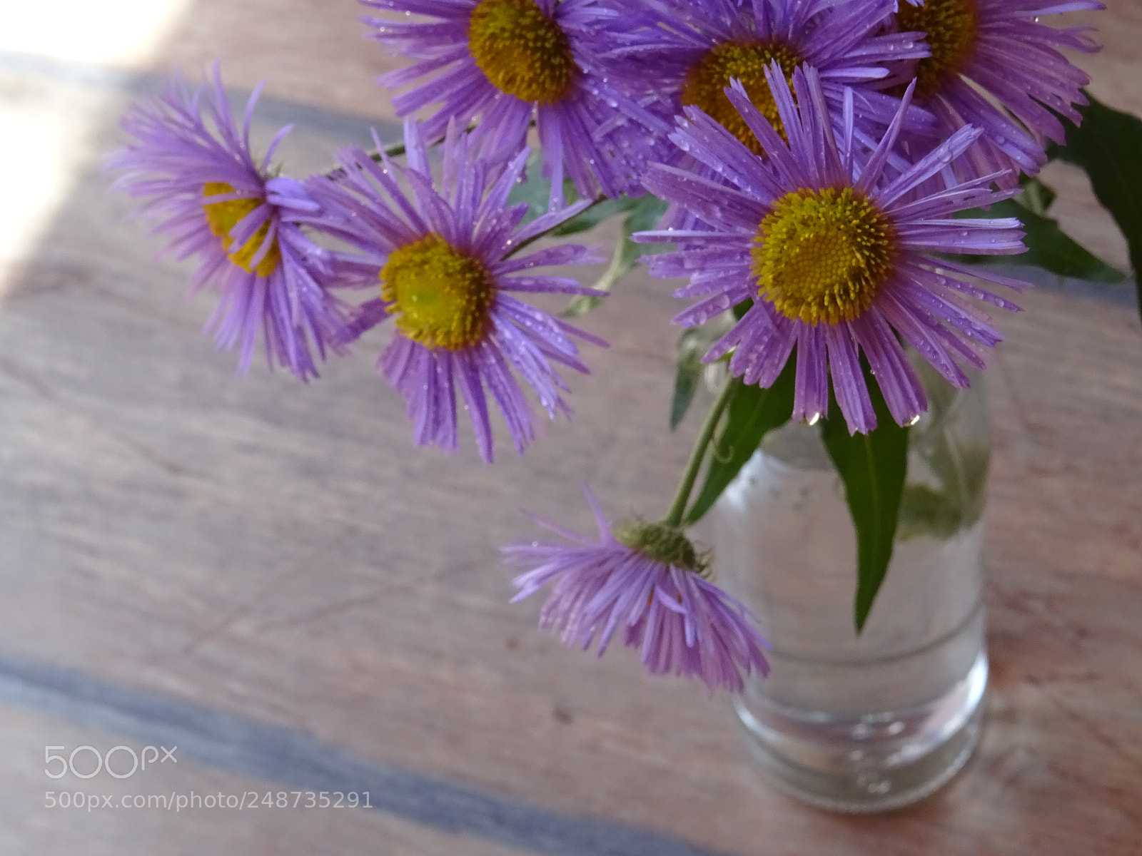 Sony DSC-HX60 sample photo. Flowers photography