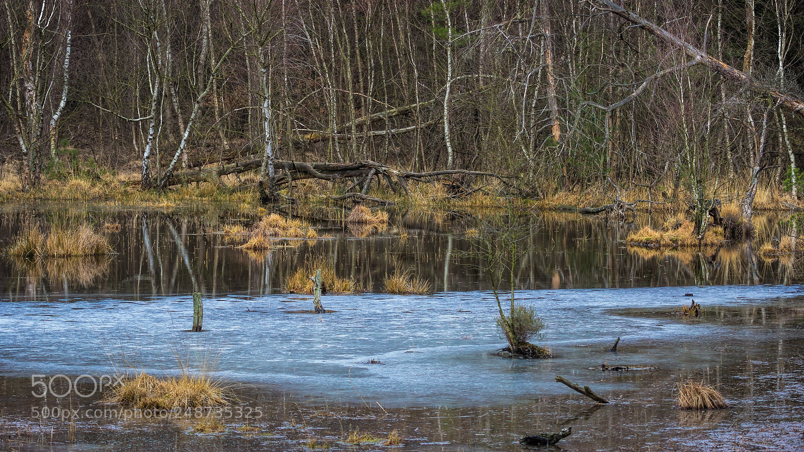 Canon EOS 60D sample photo. Moorlands photography