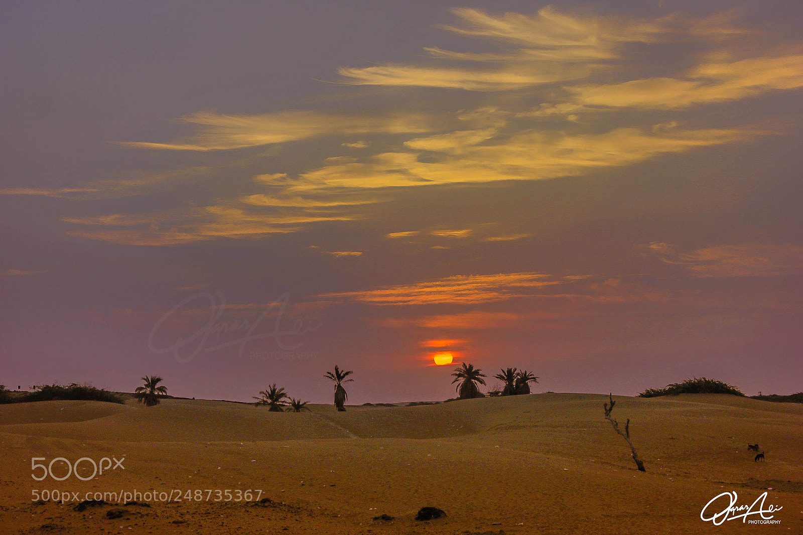 Canon EOS 550D (EOS Rebel T2i / EOS Kiss X4) sample photo. Balochistan, pakistan photography