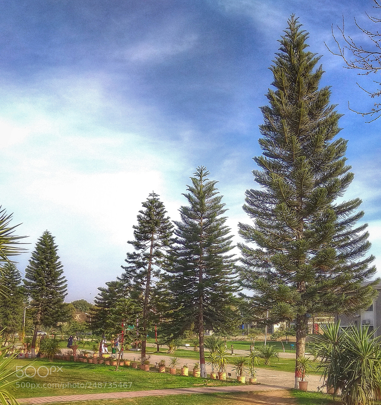 Xiaomi Redmi Note 4 sample photo. Untitled photography