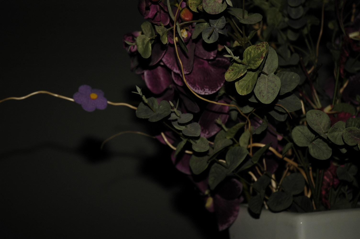 Nikon D70s sample photo. Darkflowers photography