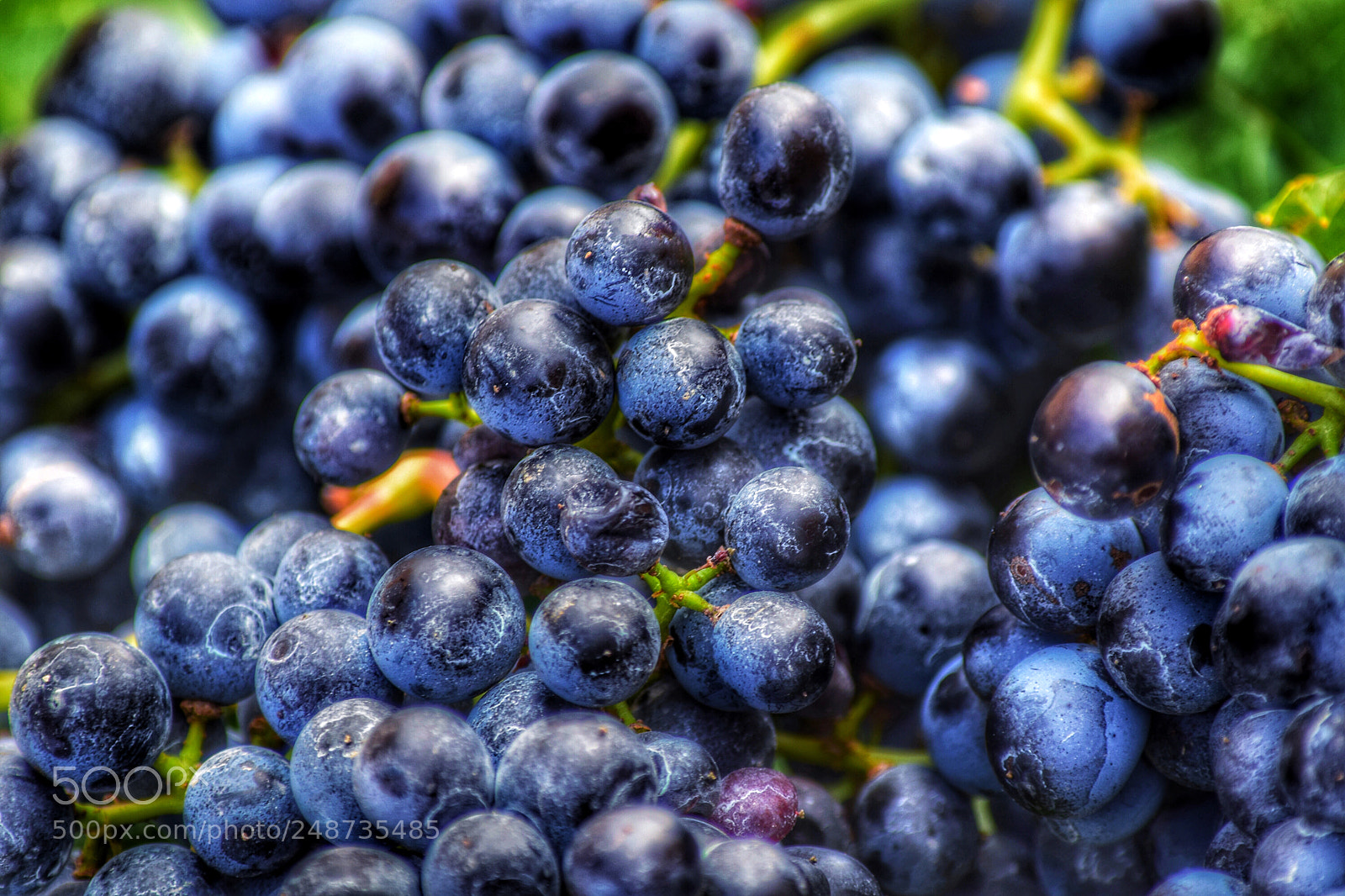 Nikon D5300 sample photo. Uvas. photography