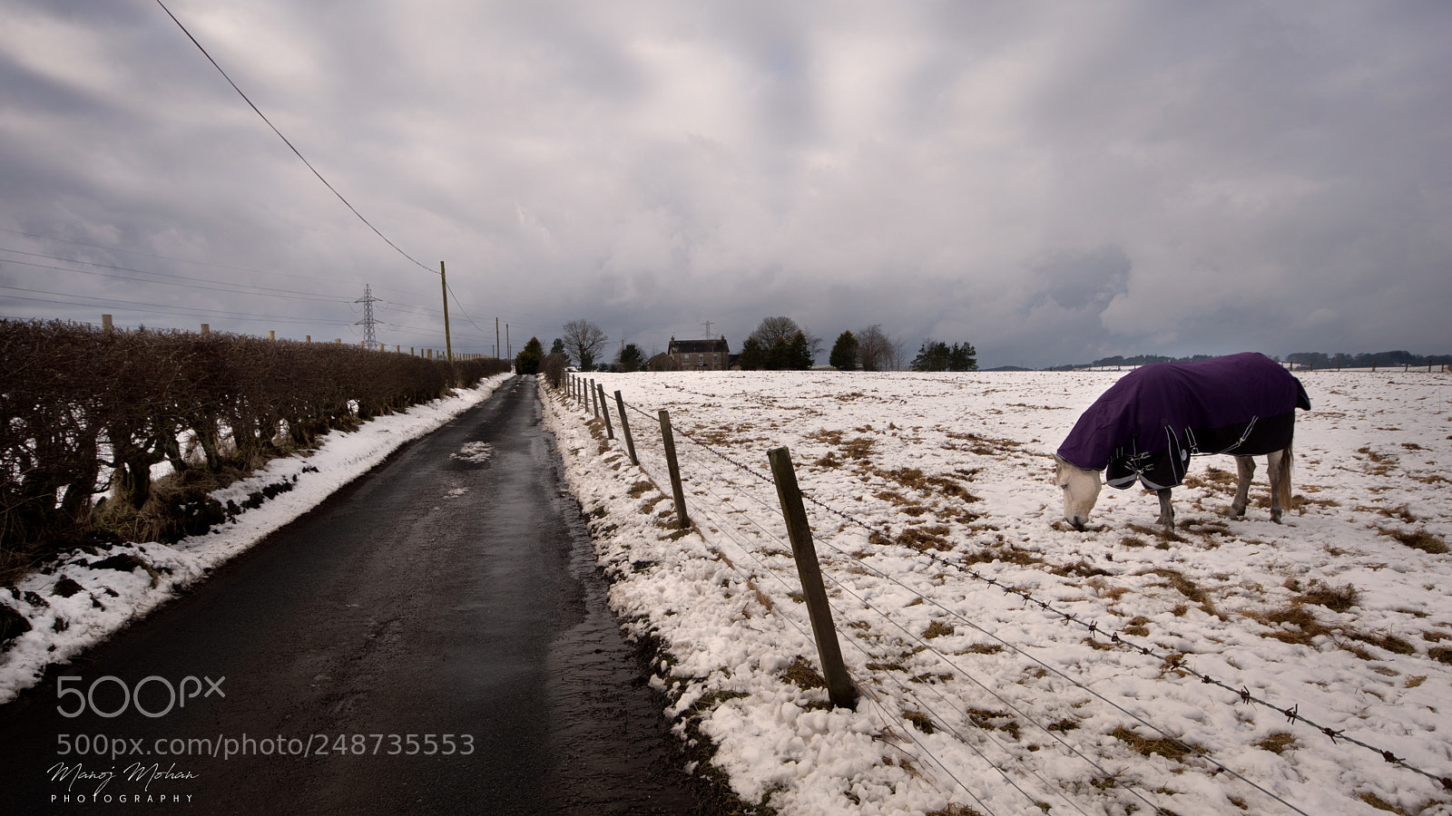 Sony ILCA-77M2 sample photo. After the snow photography