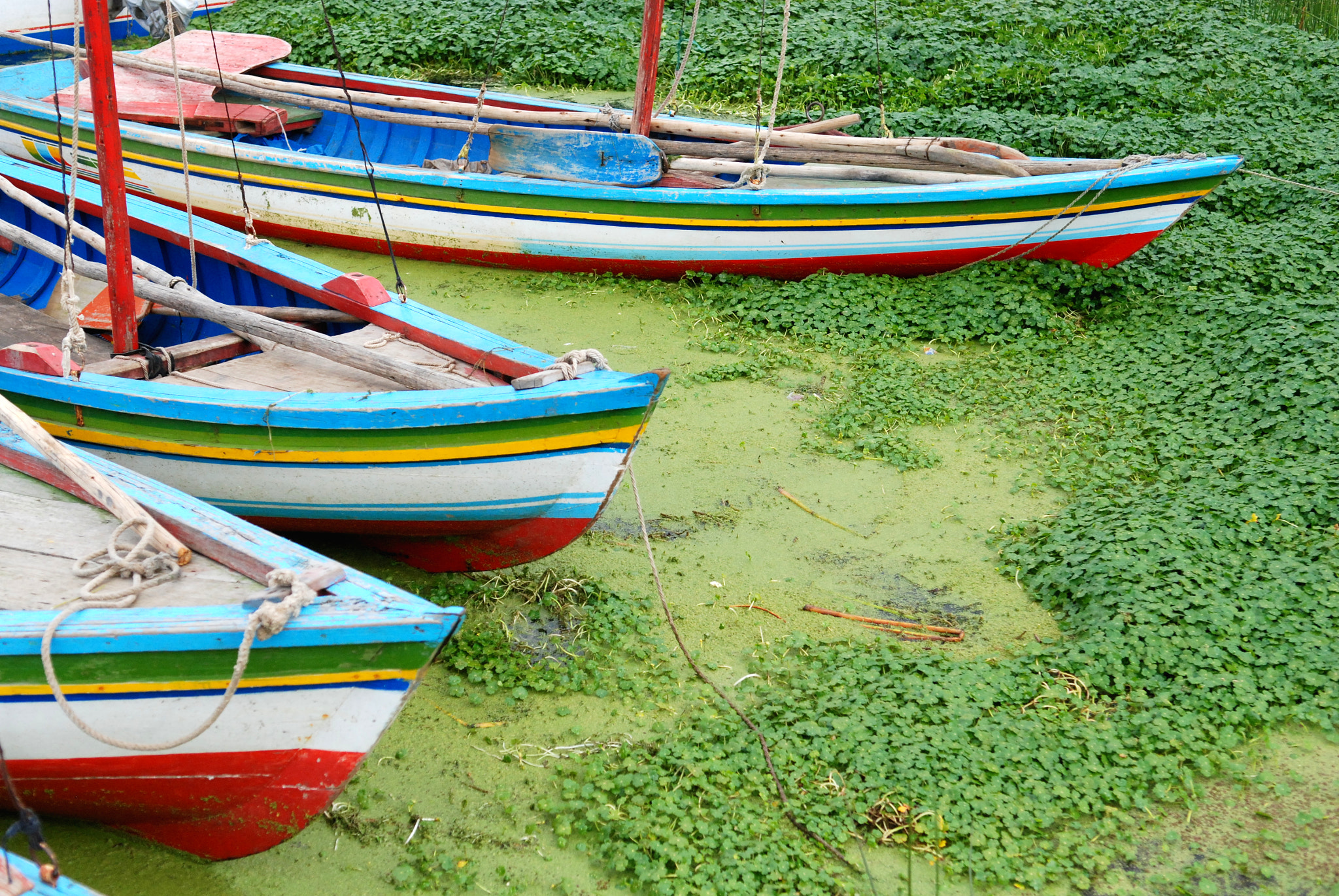 Nikon D80 sample photo. Titicaca 4 photography