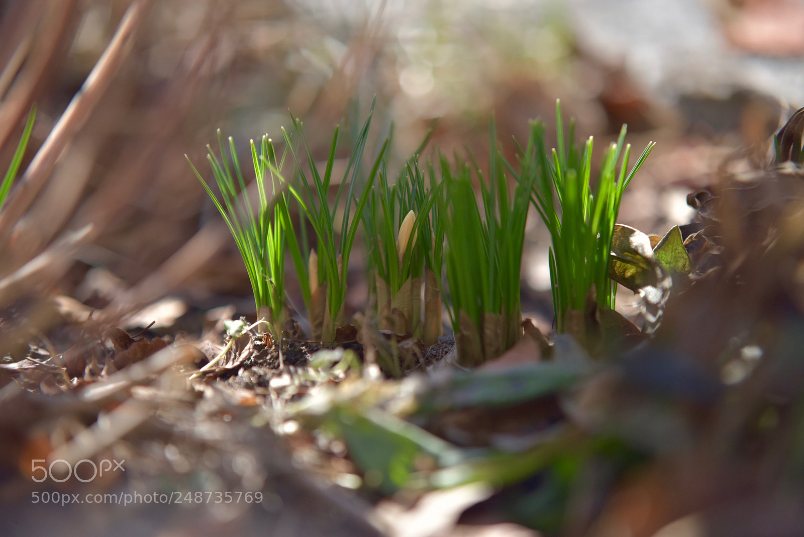 Nikon D810 sample photo. Untitled photography