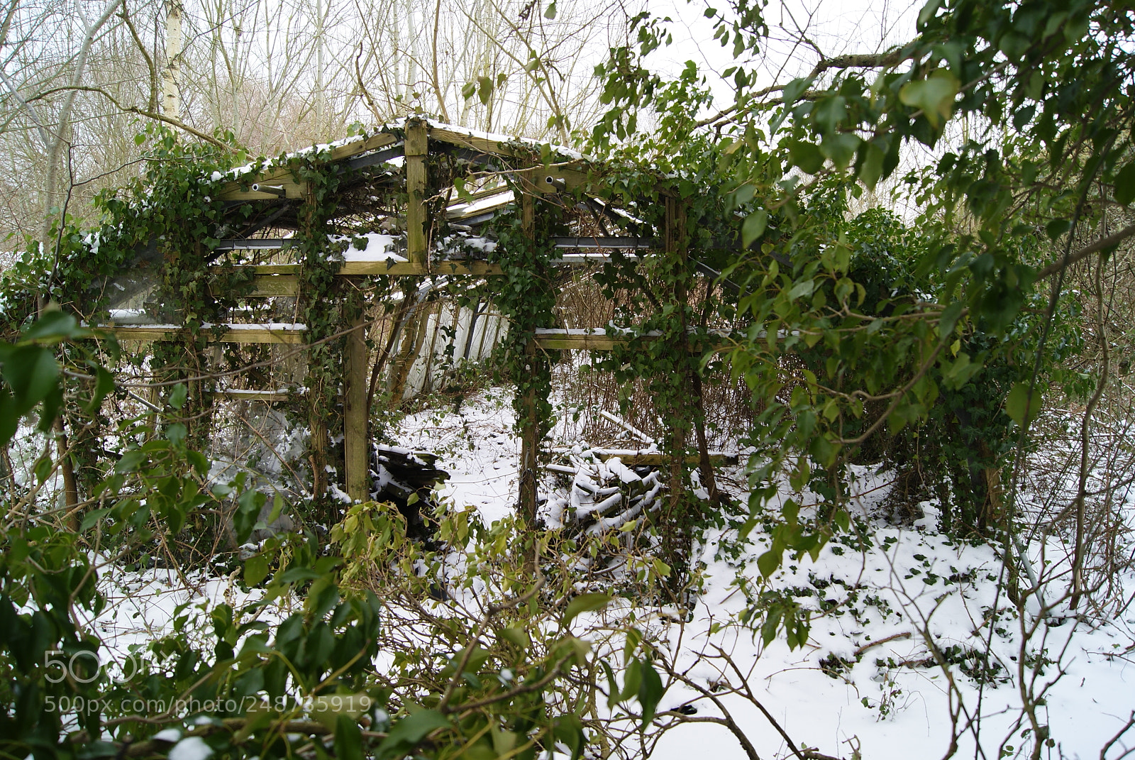 Sony Alpha DSLR-A330 sample photo. Greenhouse photography