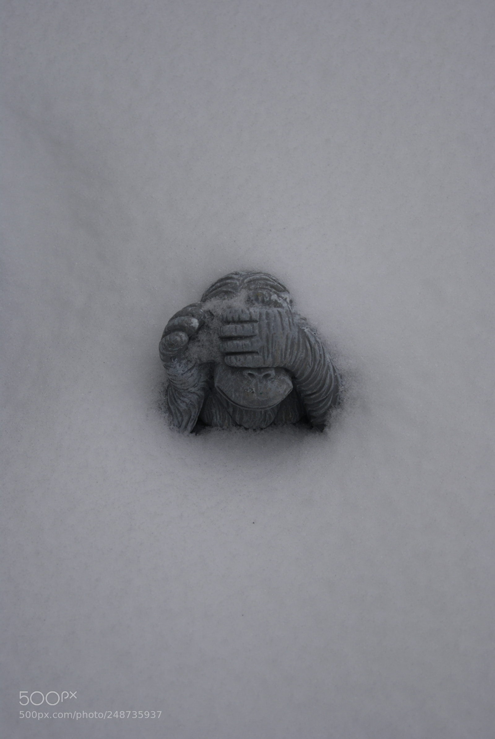 Sony Alpha DSLR-A330 sample photo. Snow, what snow photography