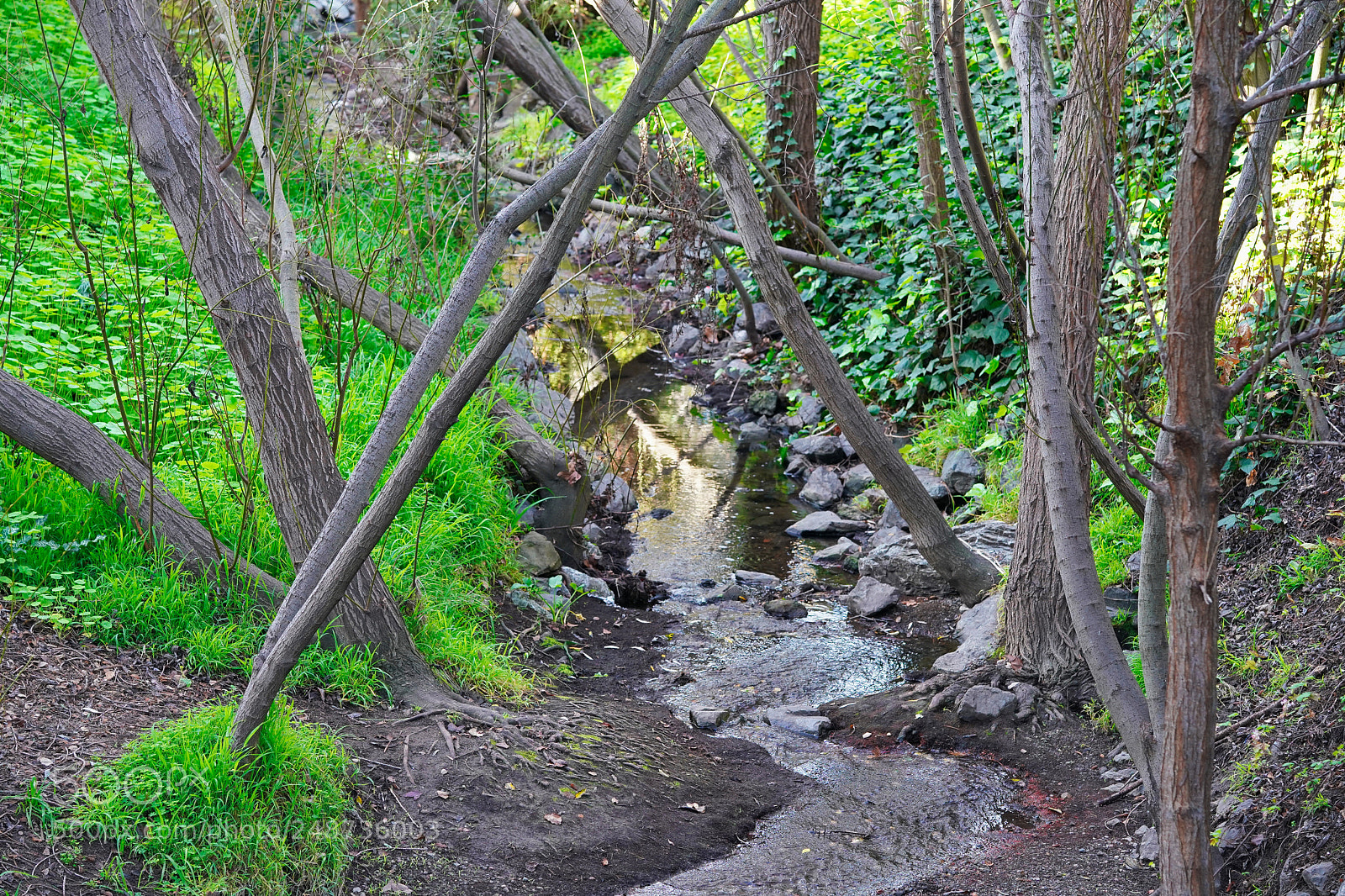 Sony a9 sample photo. I said far out - photography