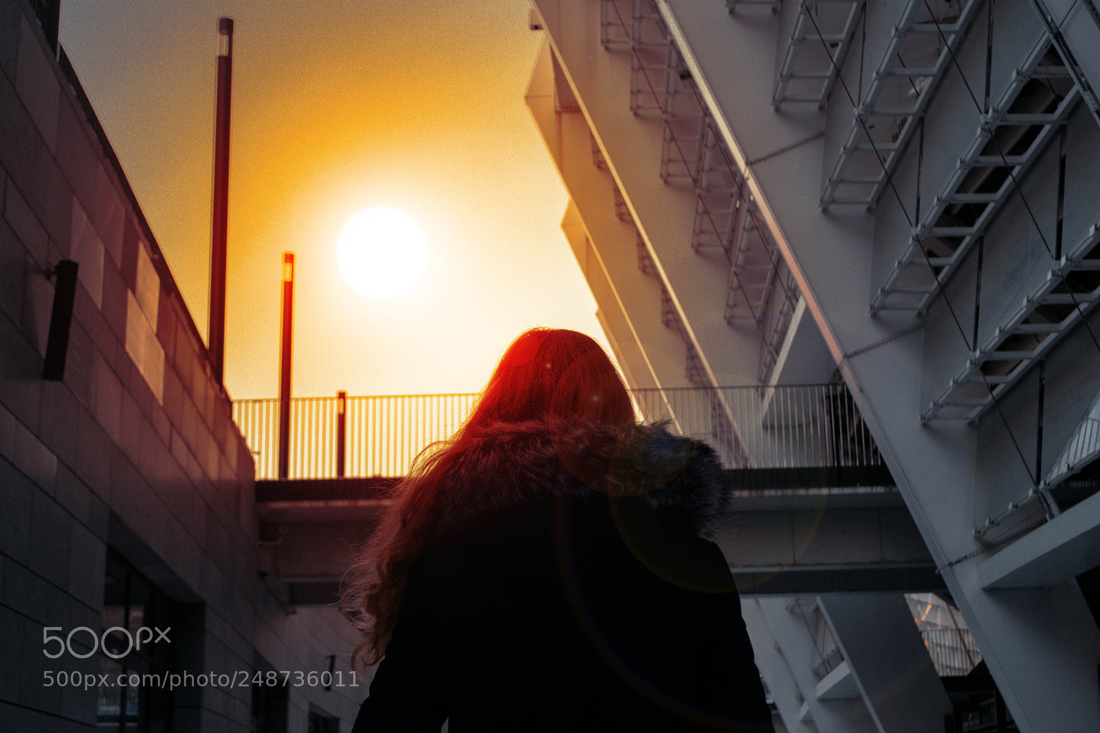 Nikon D3300 sample photo. Sun`s falling photography