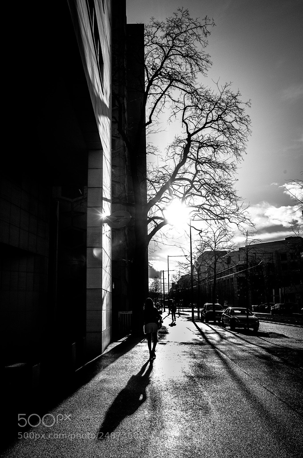 Ricoh GR II sample photo. Untitled photography