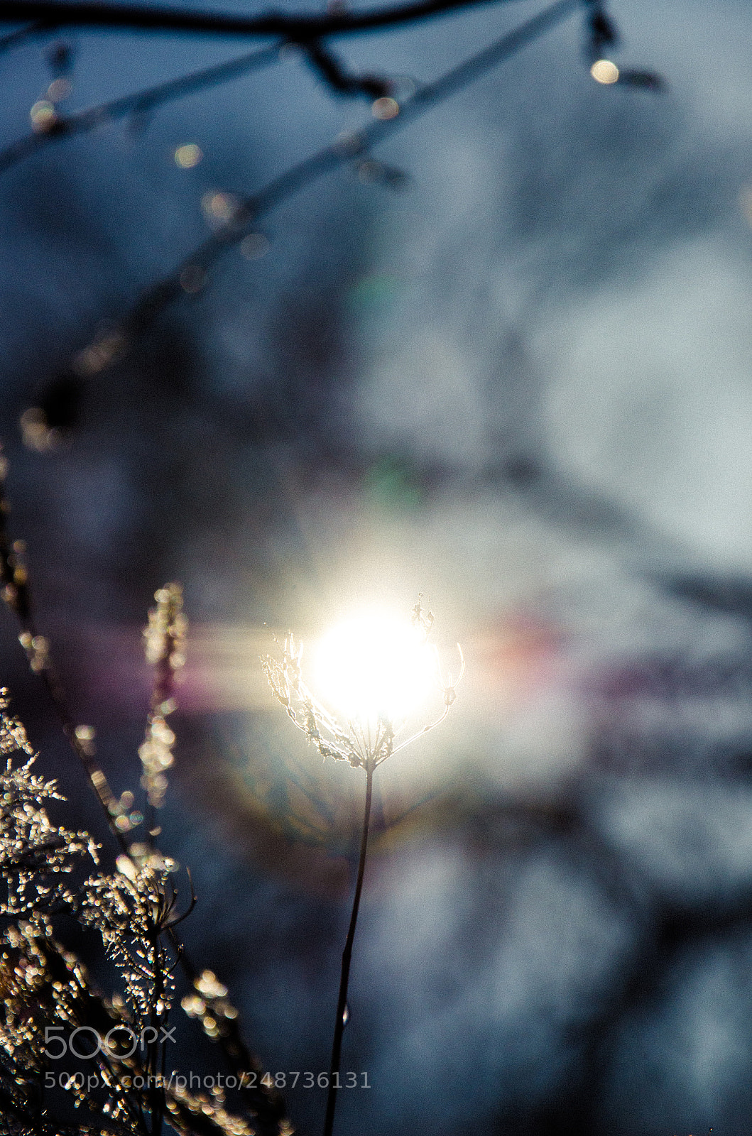 Nikon D7000 sample photo. Blinding light photography