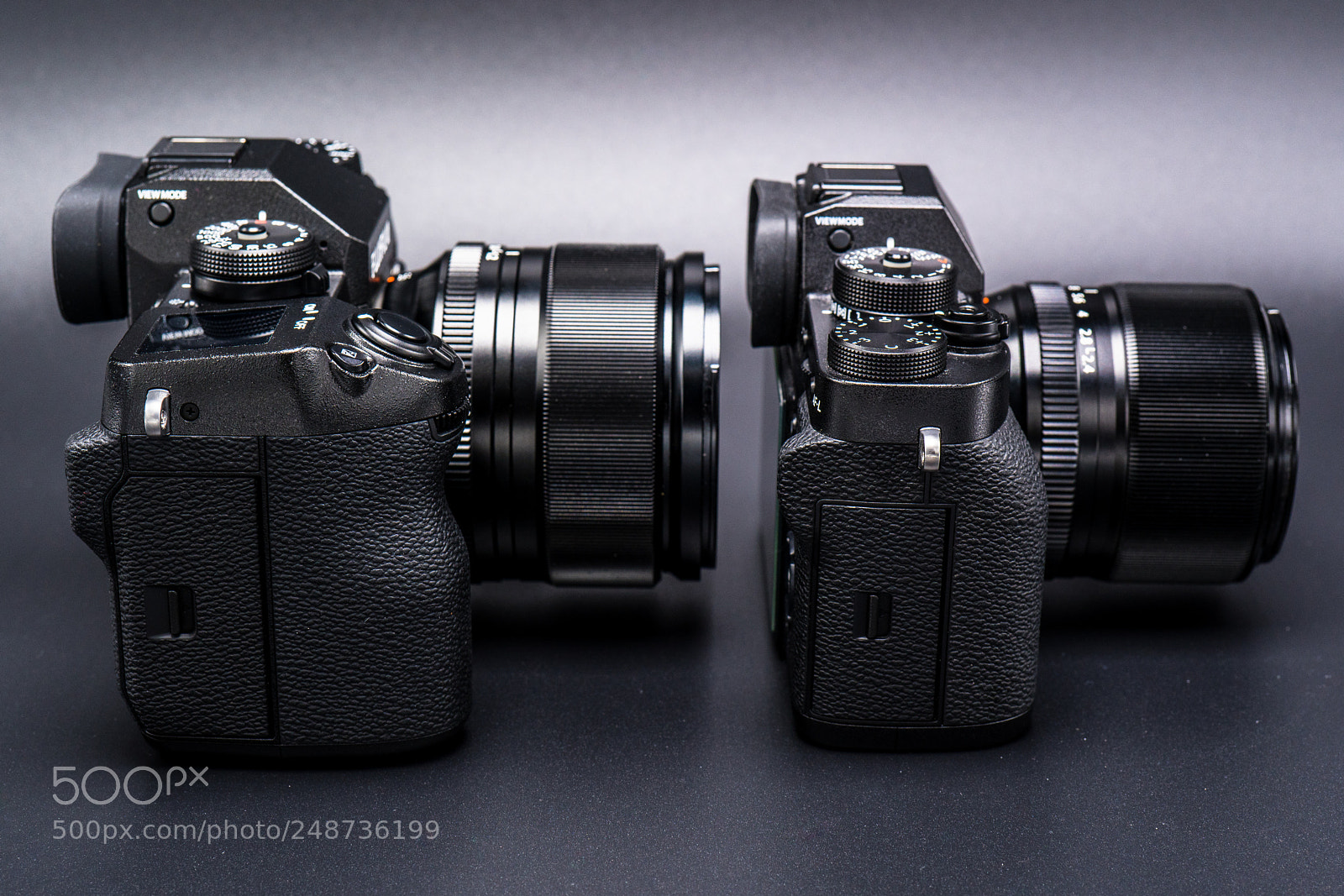 Sony a7R III sample photo. Dsc photography